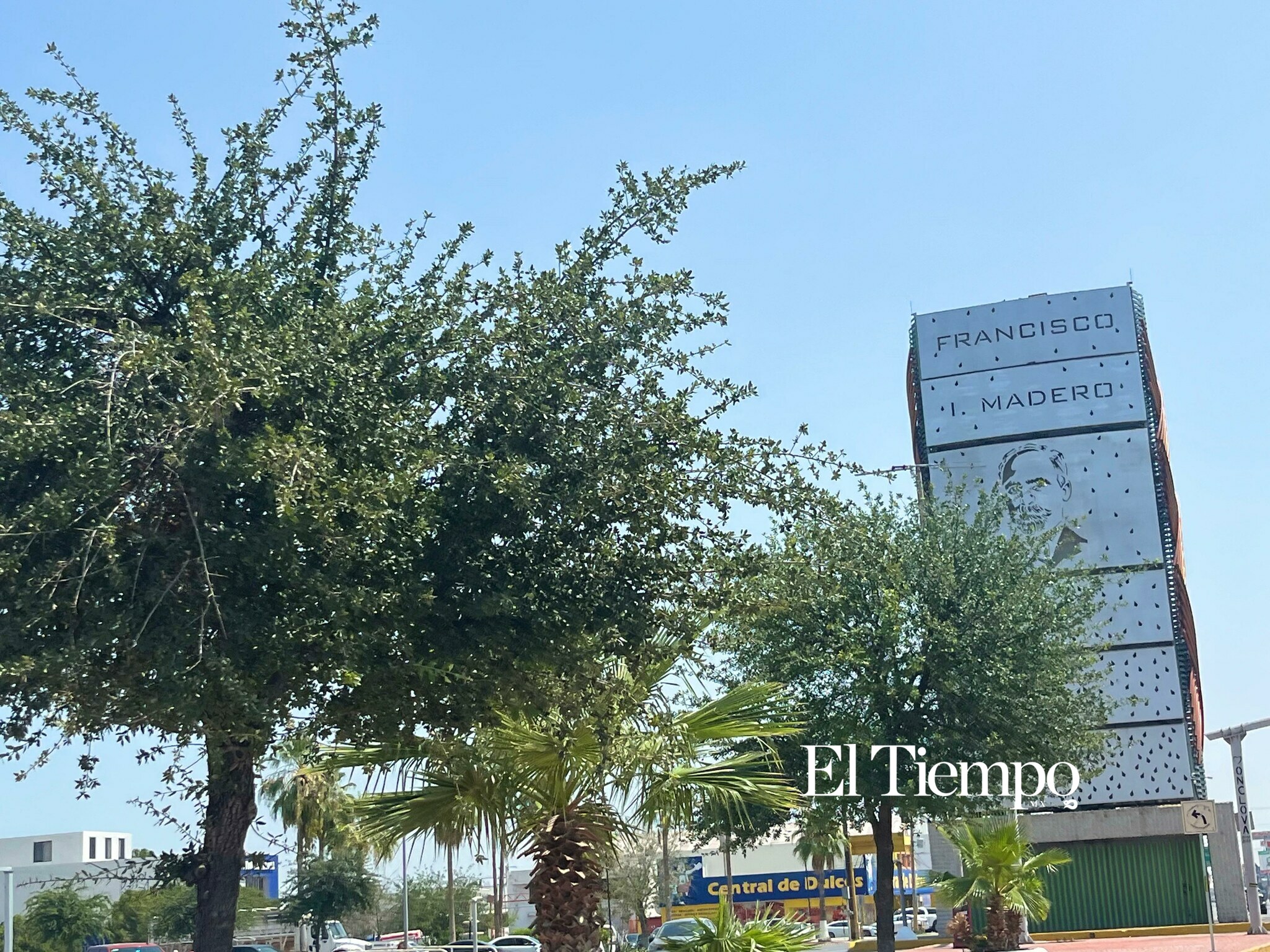 Galería fotográfica: Día Mundial del Árbol; el legado verde que crece en las principales avenidas de Monclova