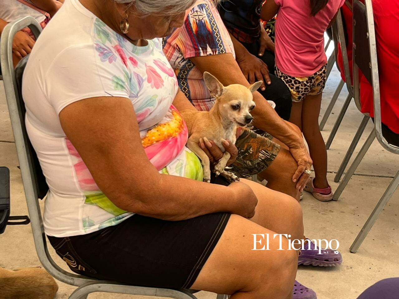 Galería fotográfica: Brigada de Salud Animal reúne a decenas de familias en la colonia 21 de Marzo para fortalecer la prevención
