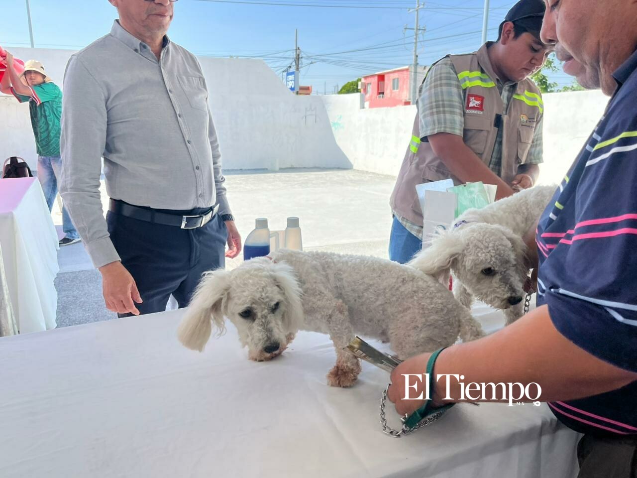 Galería fotográfica: Alta participación ciudadana en Brigada Integral de Salud Animal en Frontera