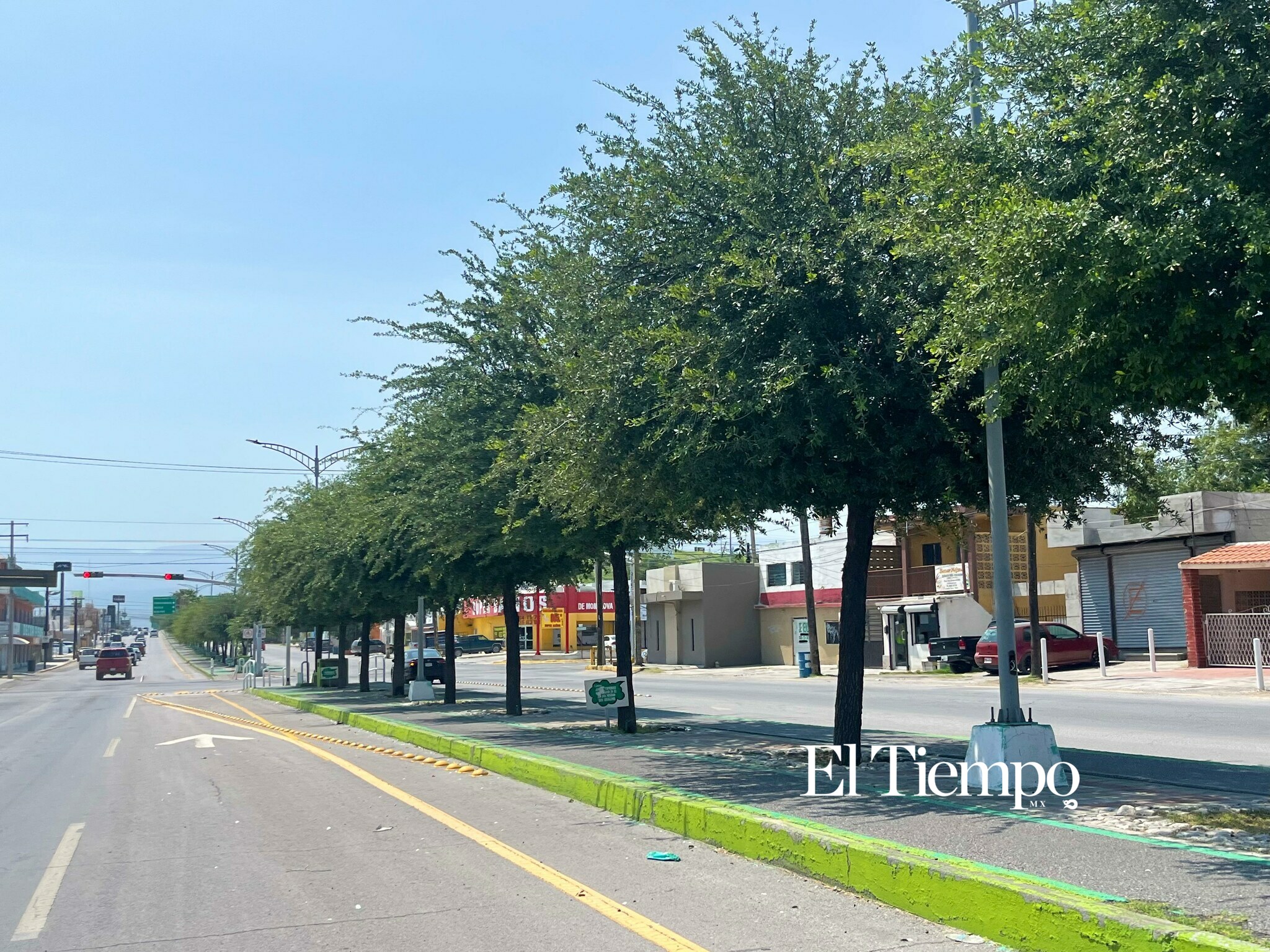 Galería fotográfica: Día Mundial del Árbol; el legado verde que crece en las principales avenidas de Monclova