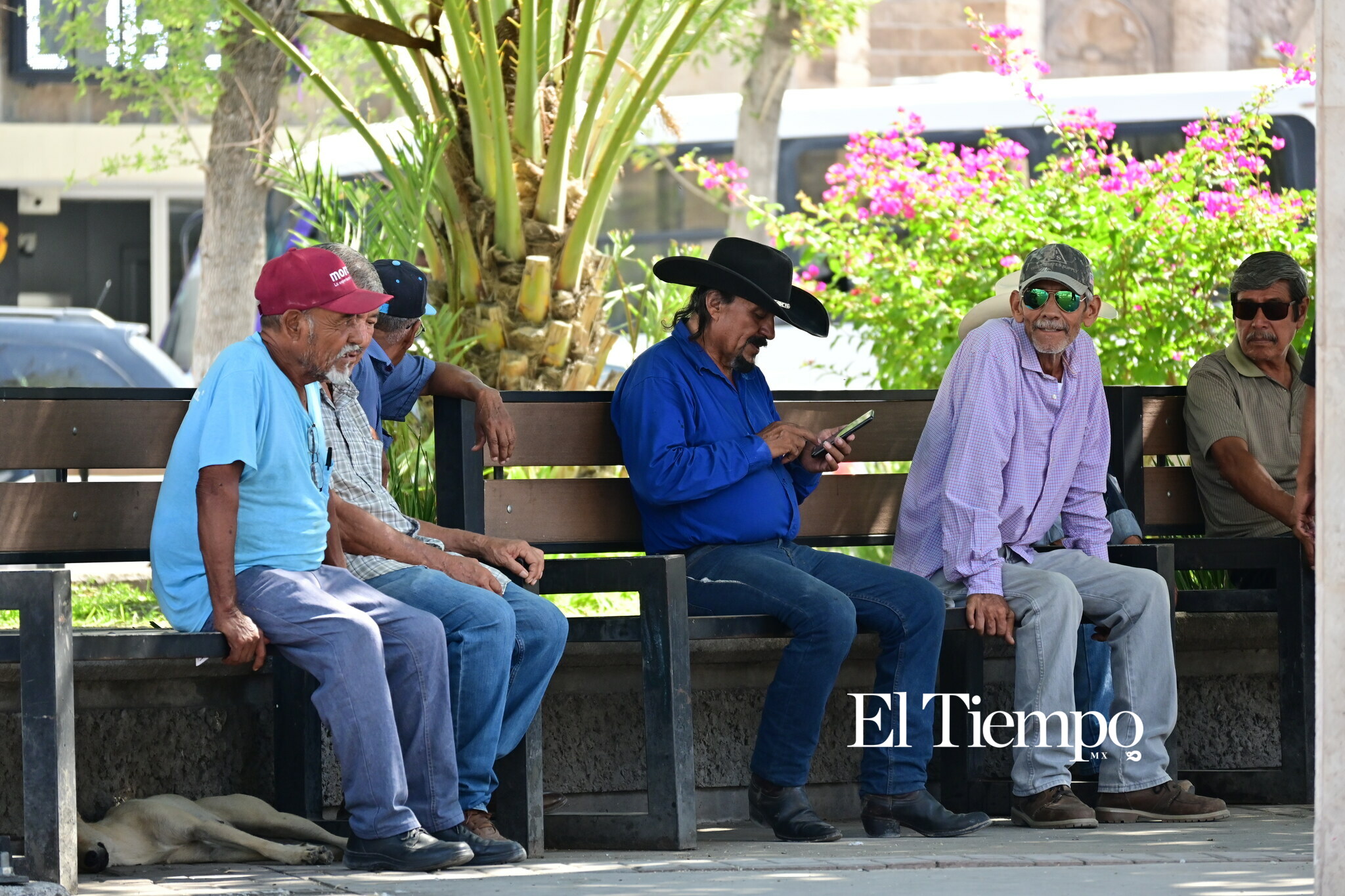 Galería fotográfica: Donde la conversación nunca envejece