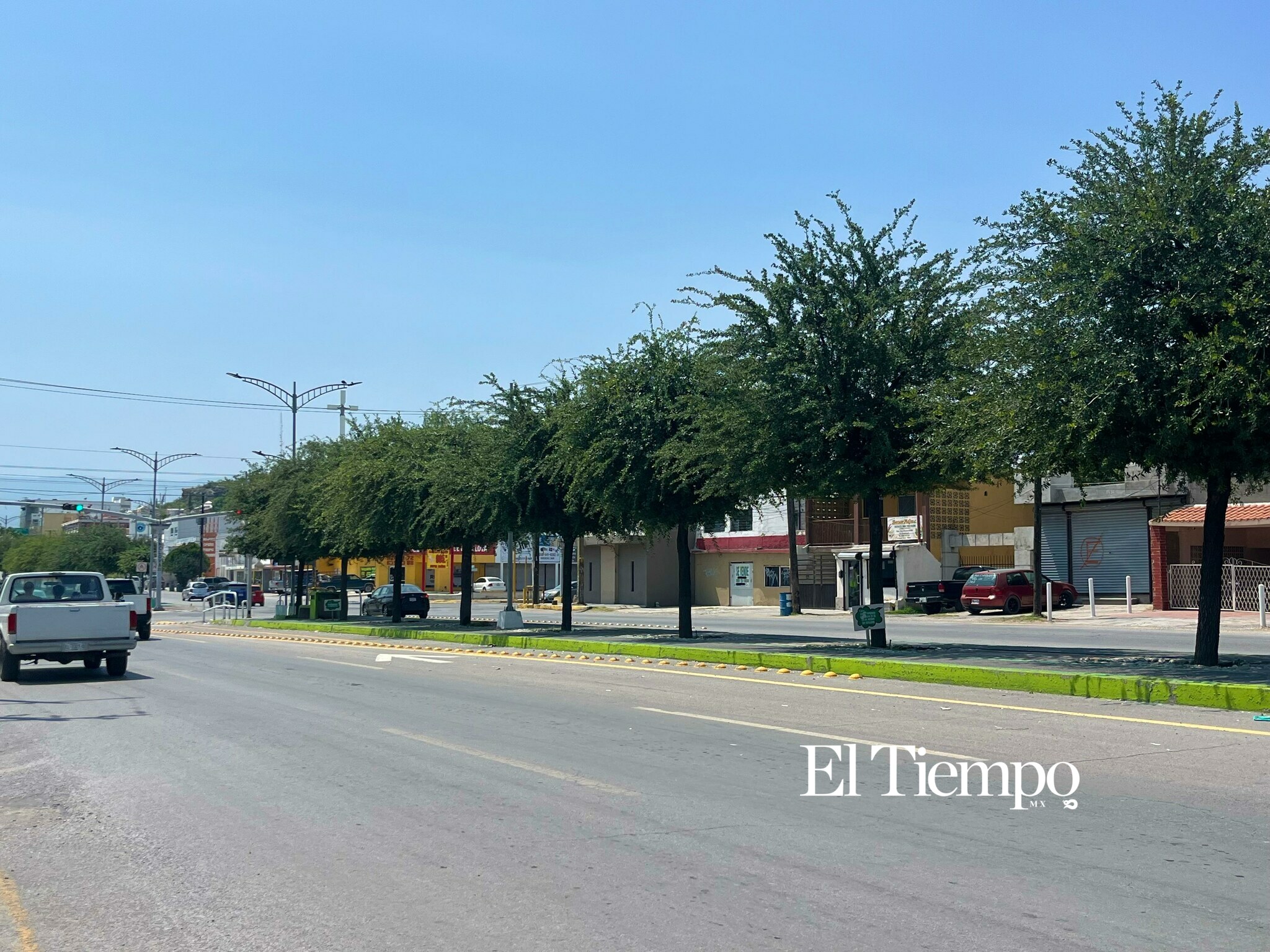 Galería fotográfica: Día Mundial del Árbol; el legado verde que crece en las principales avenidas de Monclova