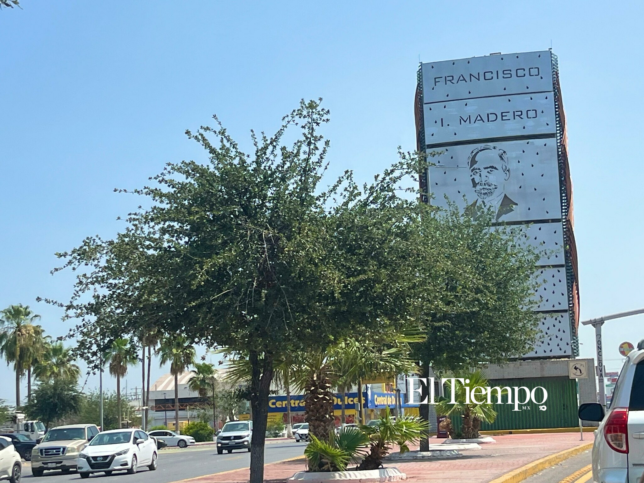 Galería fotográfica: Día Mundial del Árbol; el legado verde que crece en las principales avenidas de Monclova