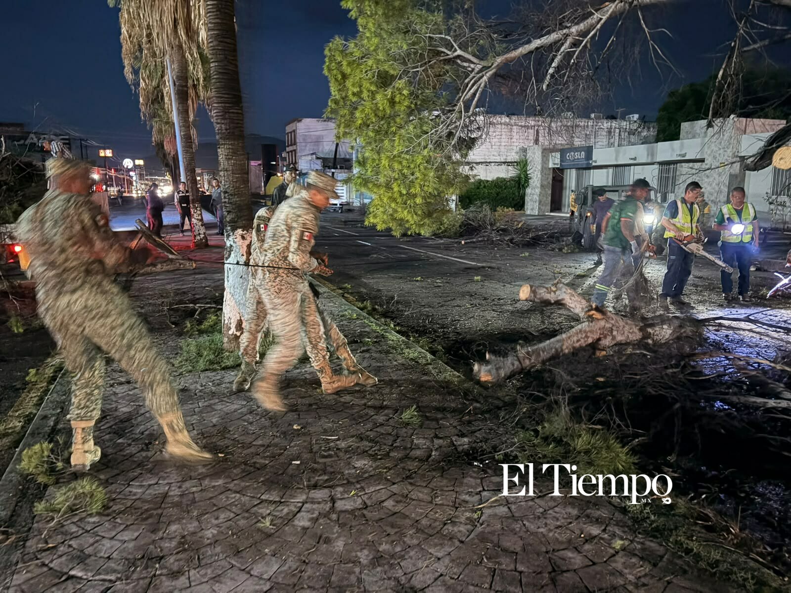 Galería fotográfica: Ejército Mexicano retira árboles y espectaculares tras las lluvias en Monclova