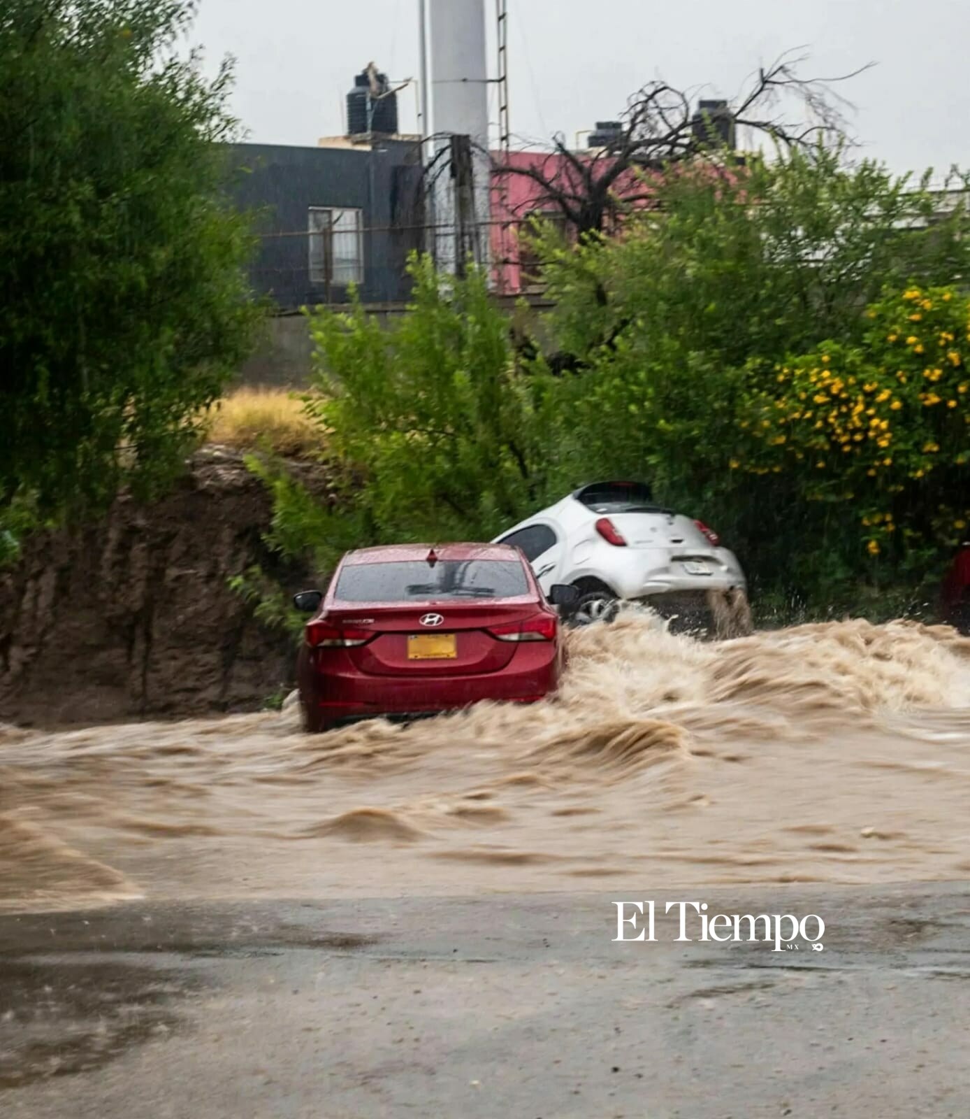 Galería fotográfica: Corriente de arroyo arrastra tres vehículos frente a Tecnotrim tras fuerte tromba en Monclova