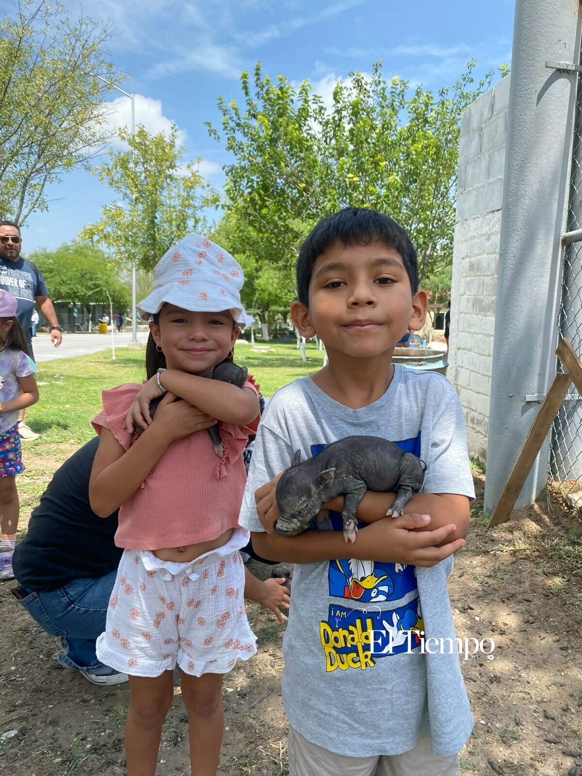 Galería fotográfica: Nacen cerditos enanos vietnamitas en Ecoparque de Monclova
