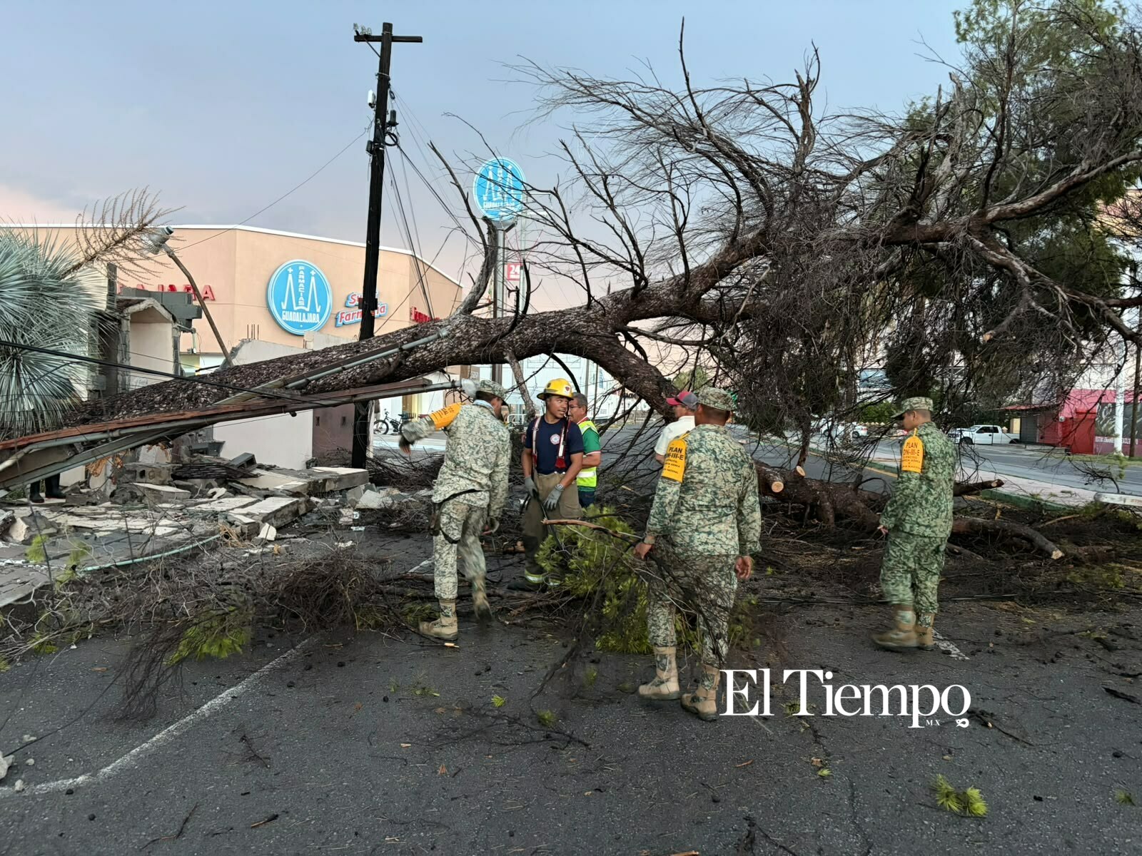 Galería fotográfica: Ejército Mexicano retira árboles y espectaculares tras las lluvias en Monclova