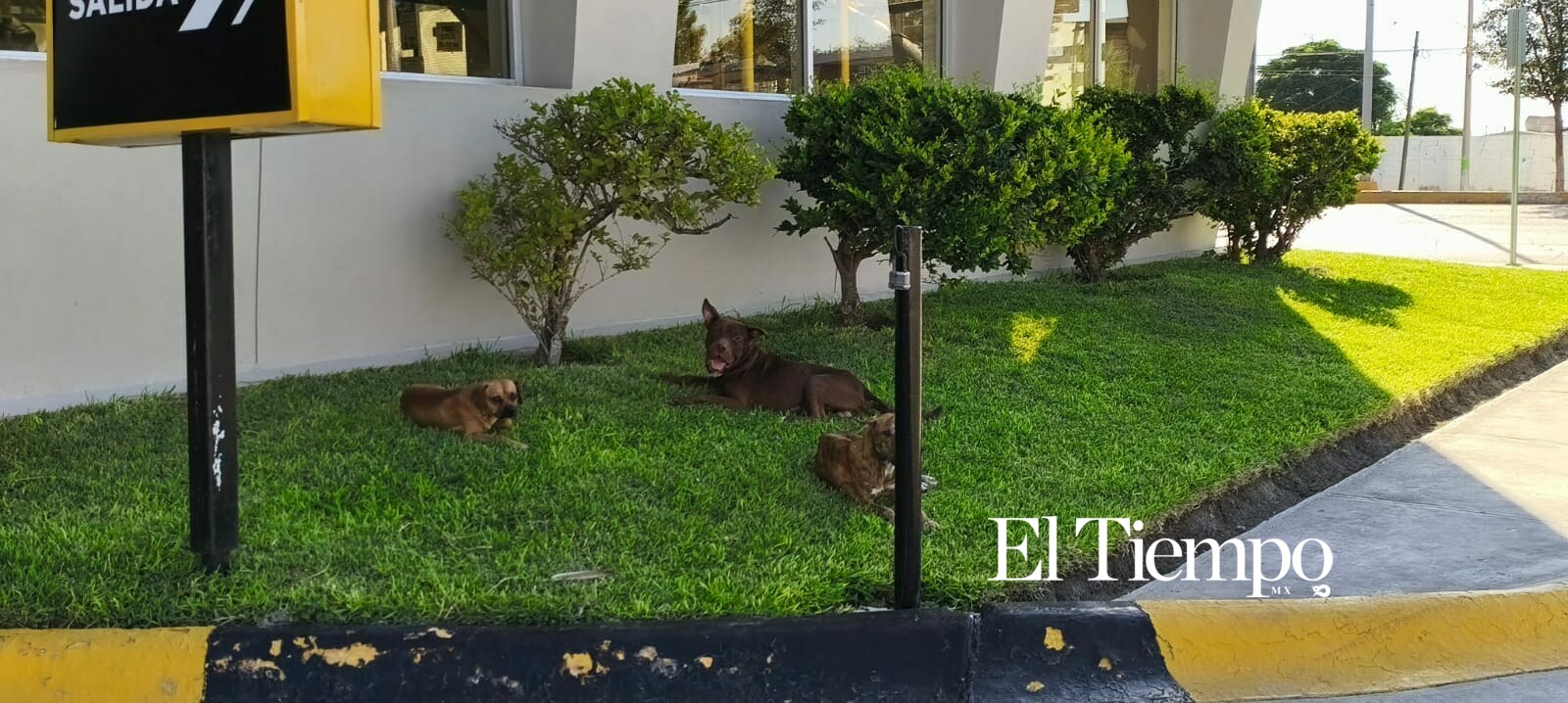 Galería fotográfica: La ciudad a ras de calle