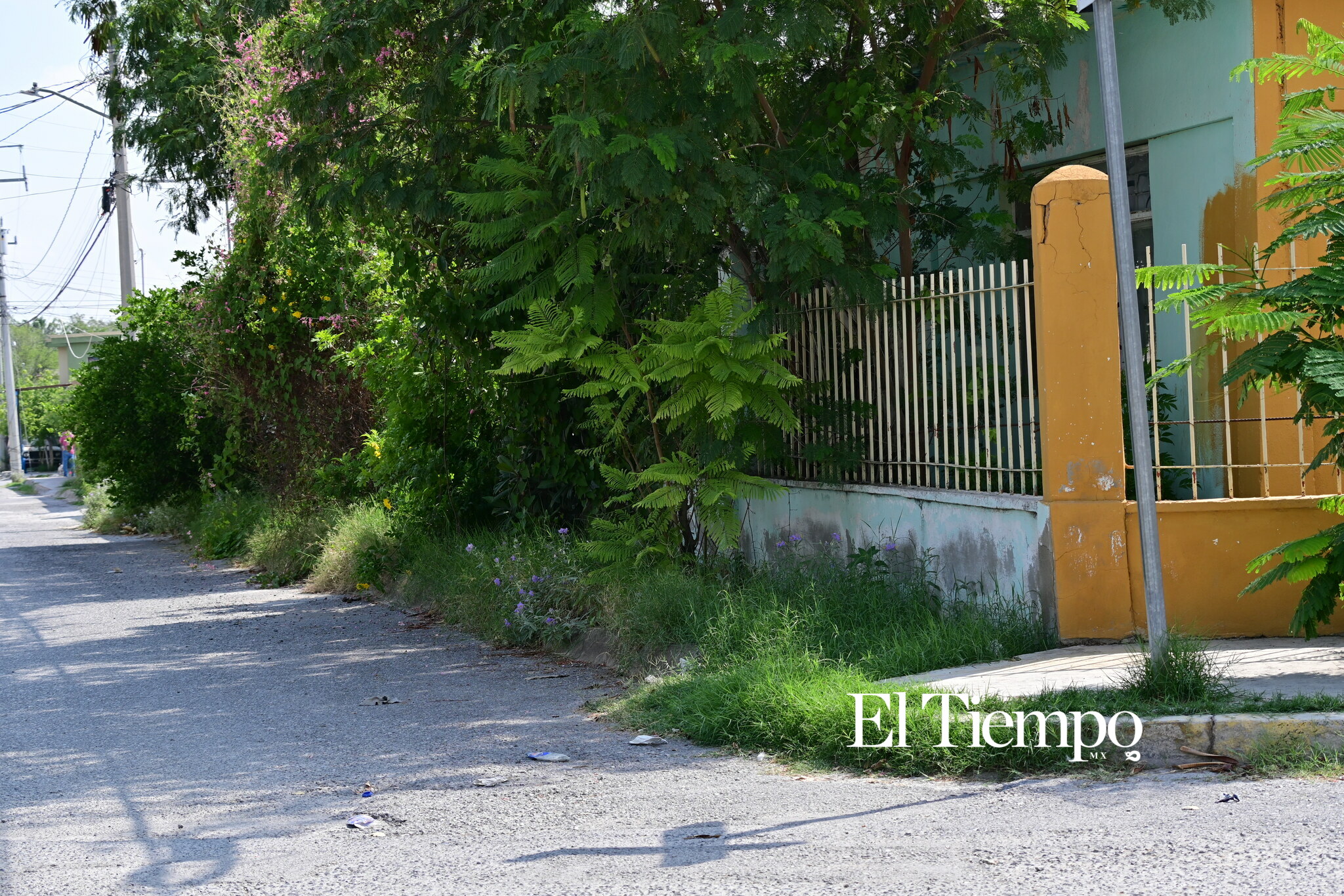 Galería fotográfica: Caminar también debería ser un derecho