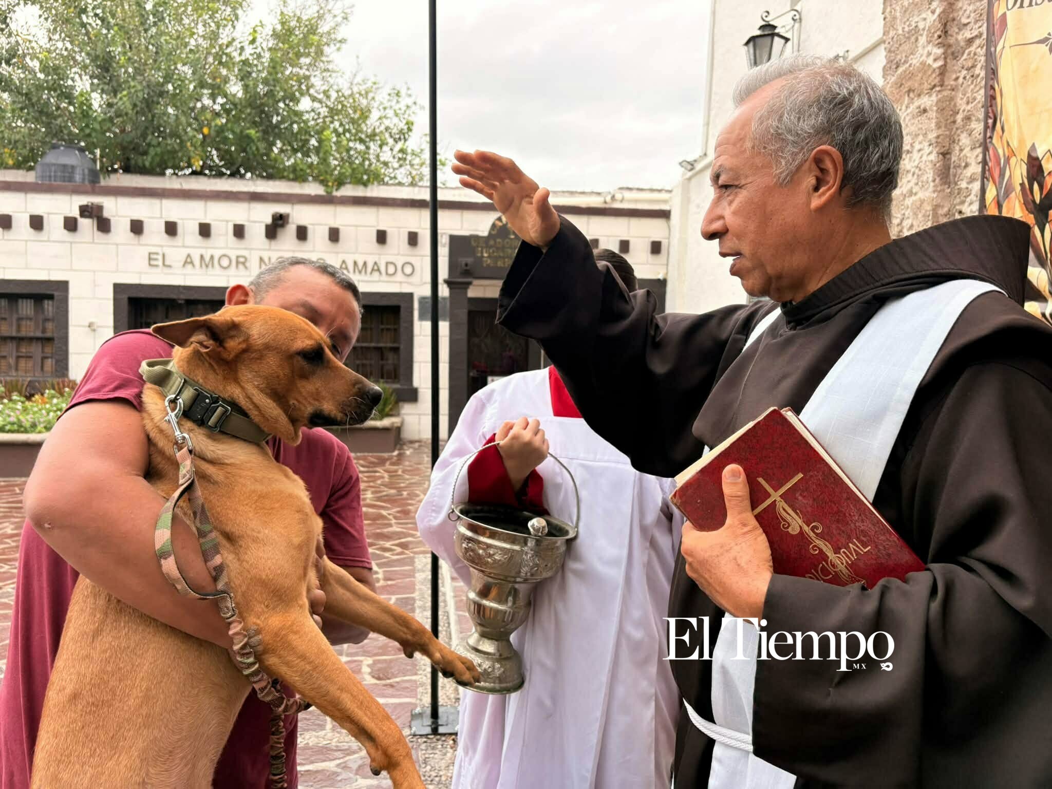 Galería fotográfica: Bendicen a los animales en Monclova