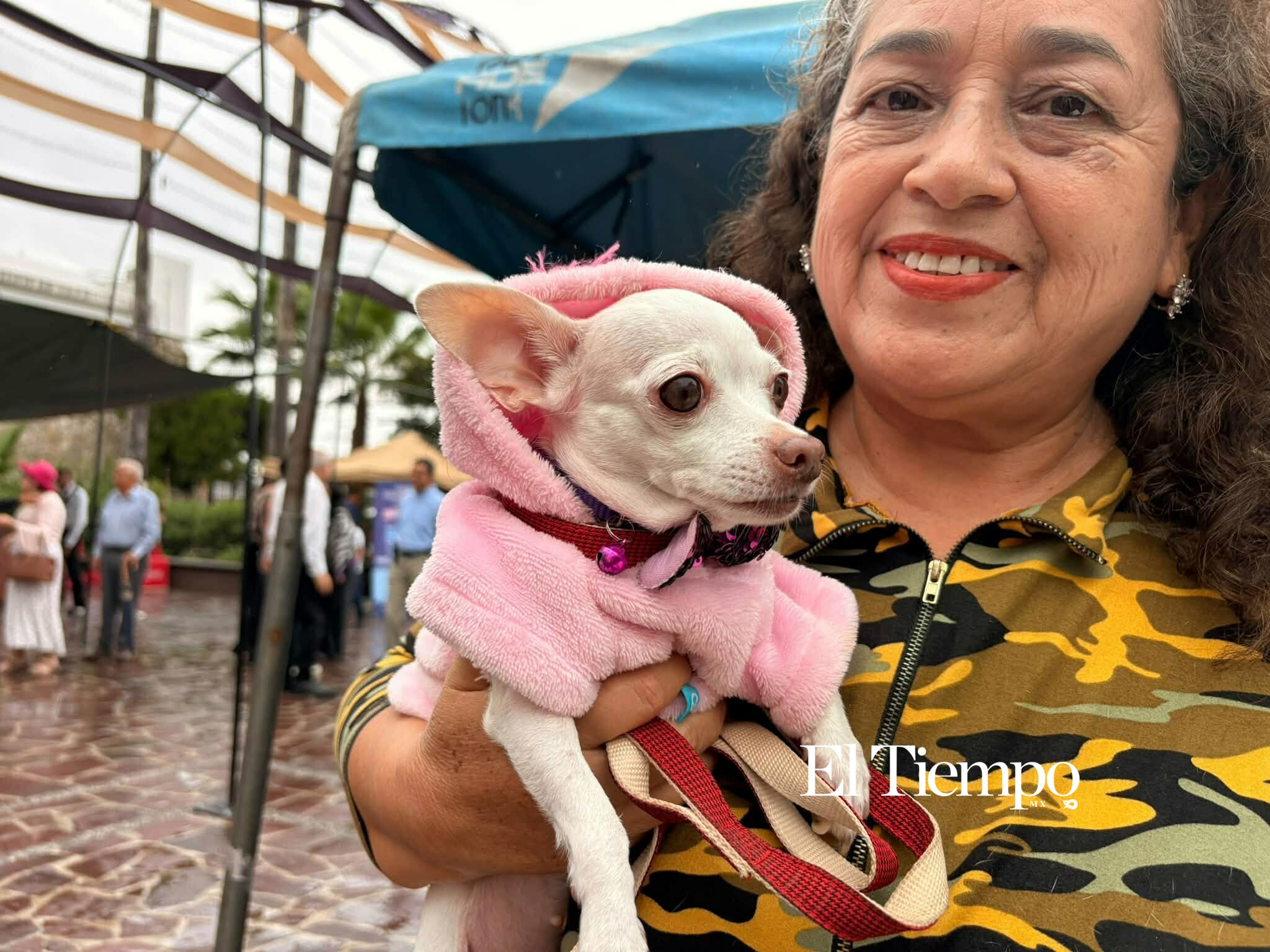 Galería fotográfica: Bendicen a los animales en Monclova
