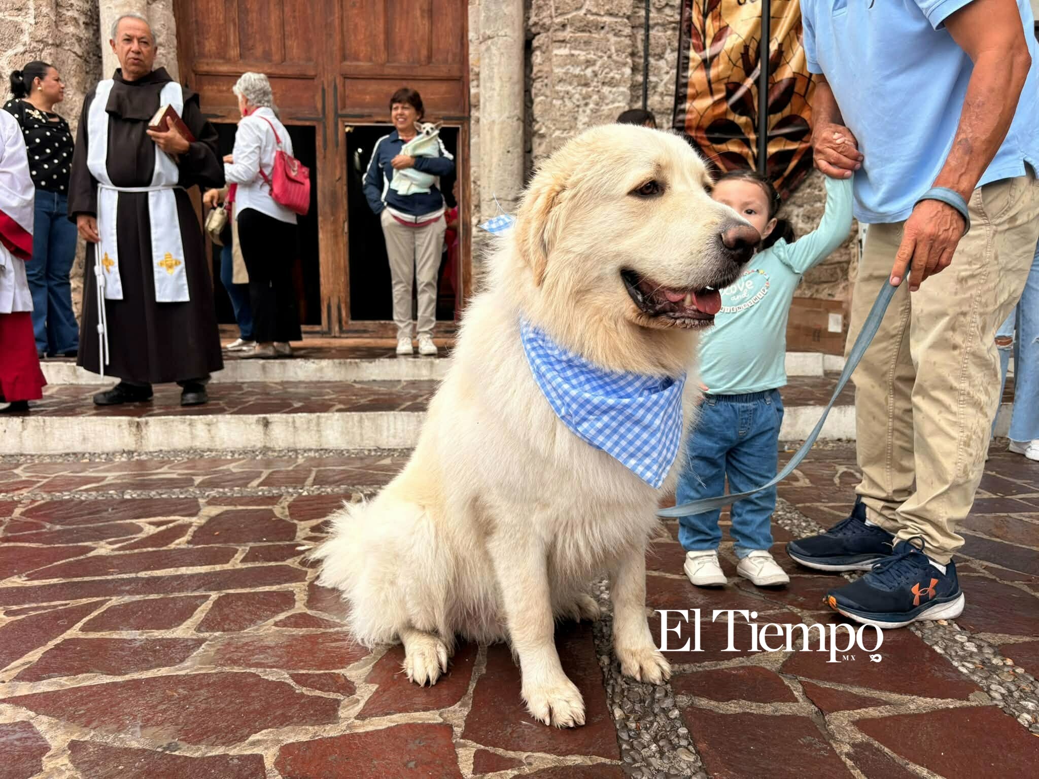 Galería fotográfica: Bendicen a los animales en Monclova