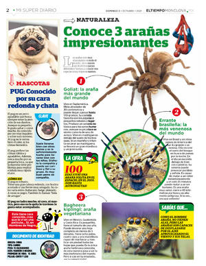 Página 2, Mi Super Diario