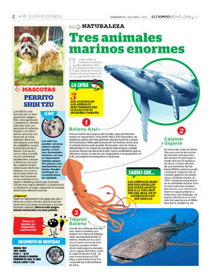 Página 2, Mi Súper Diario #3