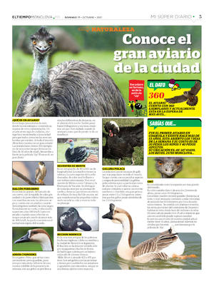 Página 5, Mi Súper Diario #3