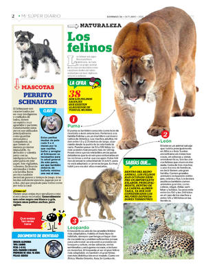 Página 2, Mi Súper Diario #4