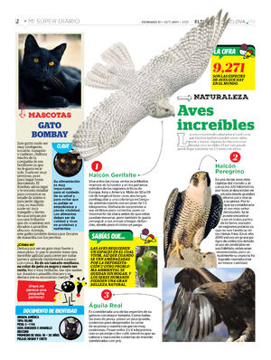 Página 2, Mi Súper Diario #5