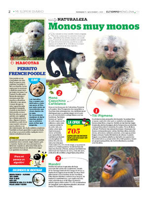 Página 2, Mi Súper Diario #6