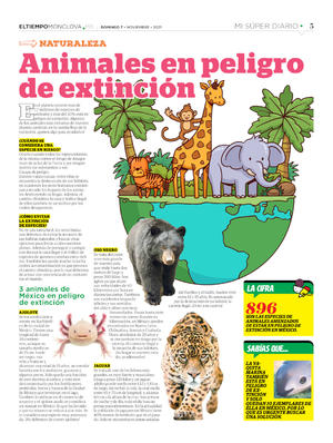 Página 5, Mi Súper Diario #6