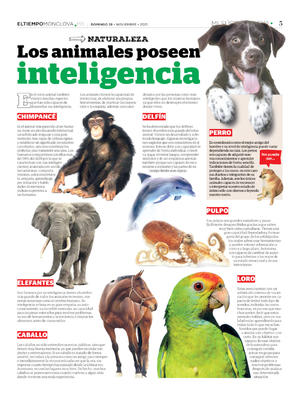 Página 5, MSD 28 NOVIEMBRE 2021