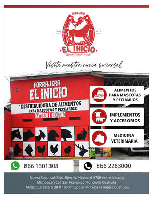 Página 35, REVISTA JADE BUENA VIDA PERIÓDICO EL TIEMPO DE MONCLOVA