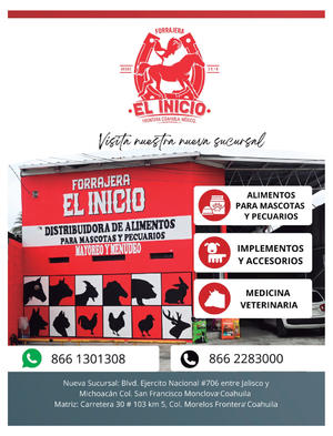 Página 28, REVISTA JADE BUENA VIDA EL TIEMPO MONCLOVA