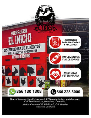 Página 27, REVISTA JADE BUENA VIDA EL TIEMPO MONCLOVA Página 27, REVISTA JADE BUENA VIDA EL TIEMPO MONCLOVA