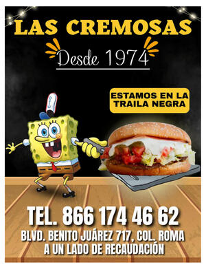 Página 33, 	 REVISTA JADE BUENA VIDA EL TIEMPO MONCLOVA