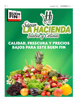 Página 2, ESPECIAL BUEN FIN 2025